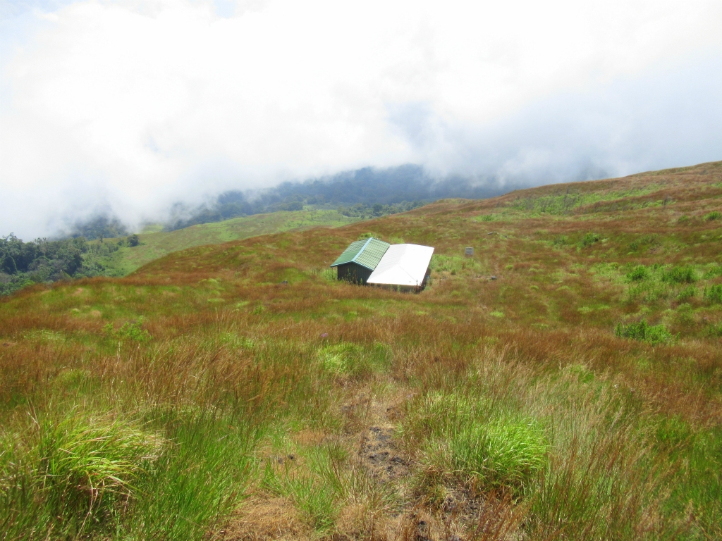 "Hut 2", à 2280 mètres, au milieu des hautes herbes